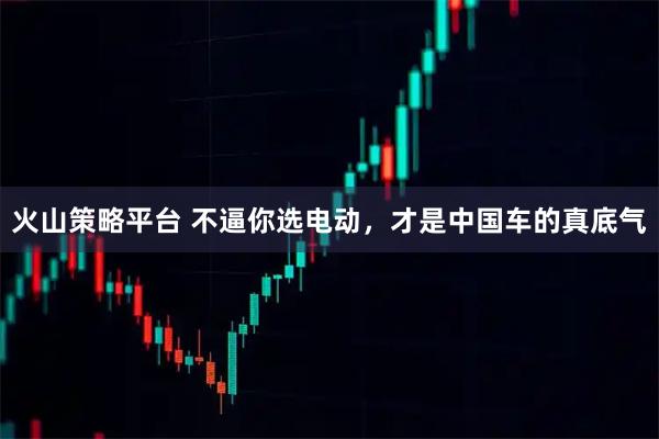 火山策略平台 不逼你选电动，才是中国车的真底气