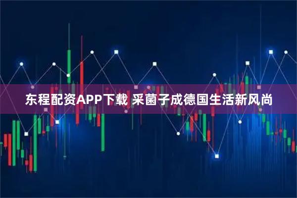 东程配资APP下载 采菌子成德国生活新风尚