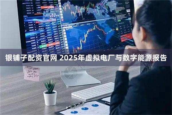 银铺子配资官网 2025年虚拟电厂与数字能源报告