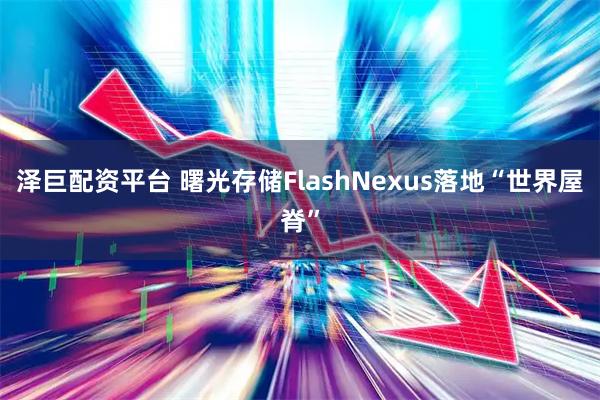 泽巨配资平台 曙光存储FlashNexus落地“世界屋脊”