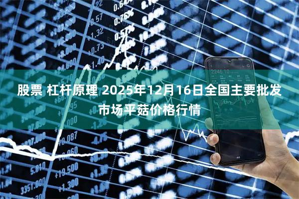 股票 杠杆原理 2025年12月16日全国主要批发市场平菇价格行情